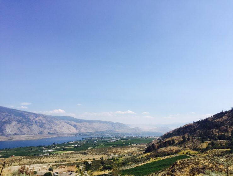 View of the valley of Osoyoos from atop photo by Kaila So
