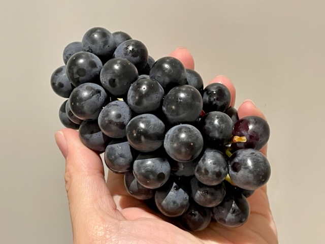 Concord grapes from Keremeos, BC